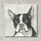 A Very Neutral Modern Dog 10 by Cartissi - 12x12 acrylic wall art in a room