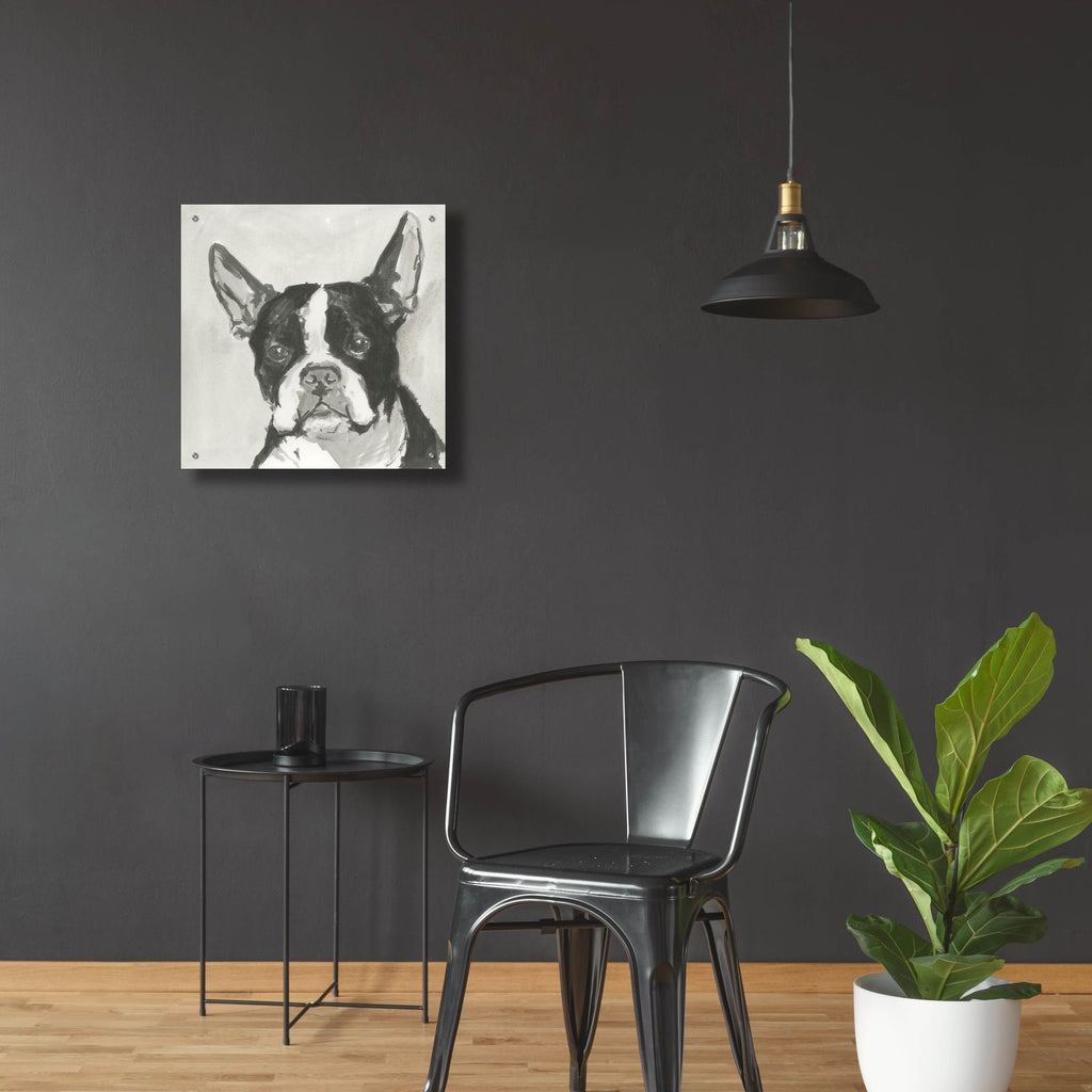 A Very Neutral Modern Dog 10 by Cartissi - 24x24 acrylic wall art in a room