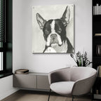 A Very Neutral Modern Dog 10 by Cartissi - 36x36 acrylic wall art in a room