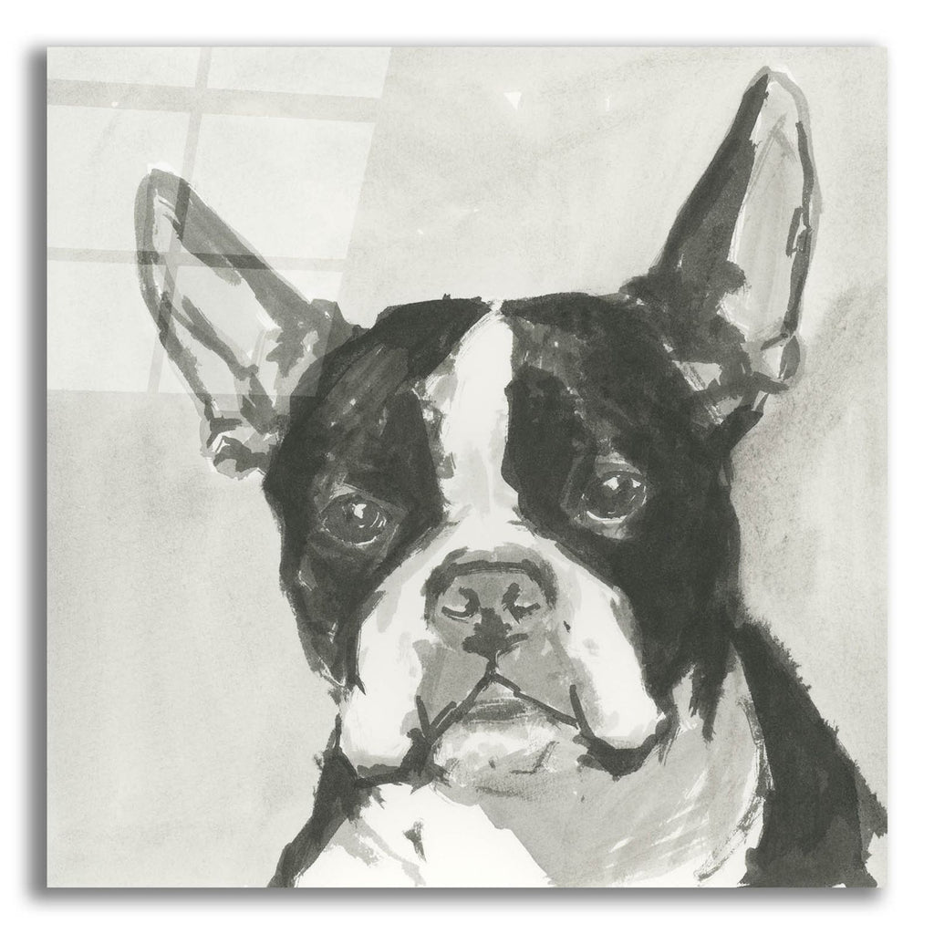 A Very Neutral Modern Dog 10 by Cartissi acrylic glass wall art