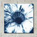 Shibori Shells 1 by Chariklia Zarris - 12x12 acrylic wall art in a room