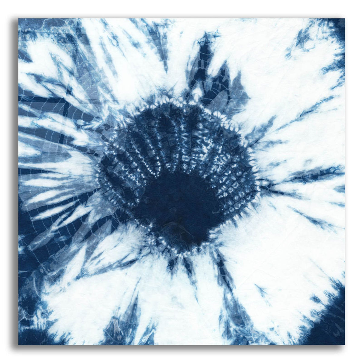 Shibori Shells 1 by Chariklia Zarris acrylic glass wall art