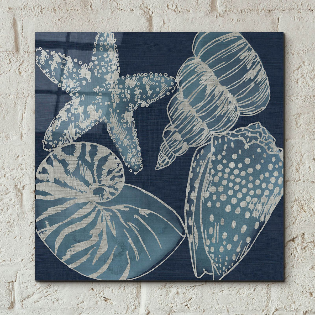 Marine Shells 1 by Chariklia Zarris - 12x12 acrylic wall art in a room