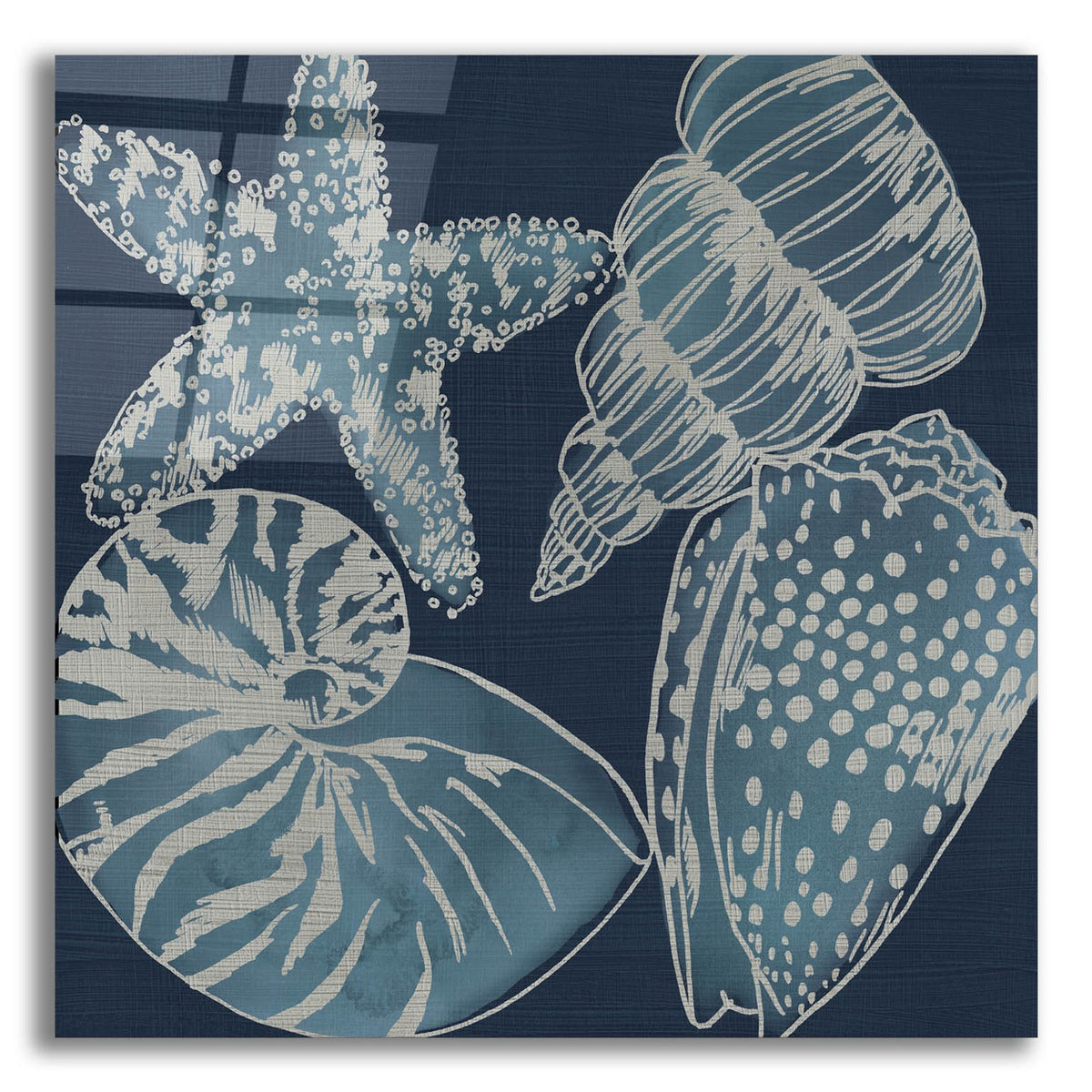 Marine Shells 1 by Chariklia Zarris acrylic glass wall art