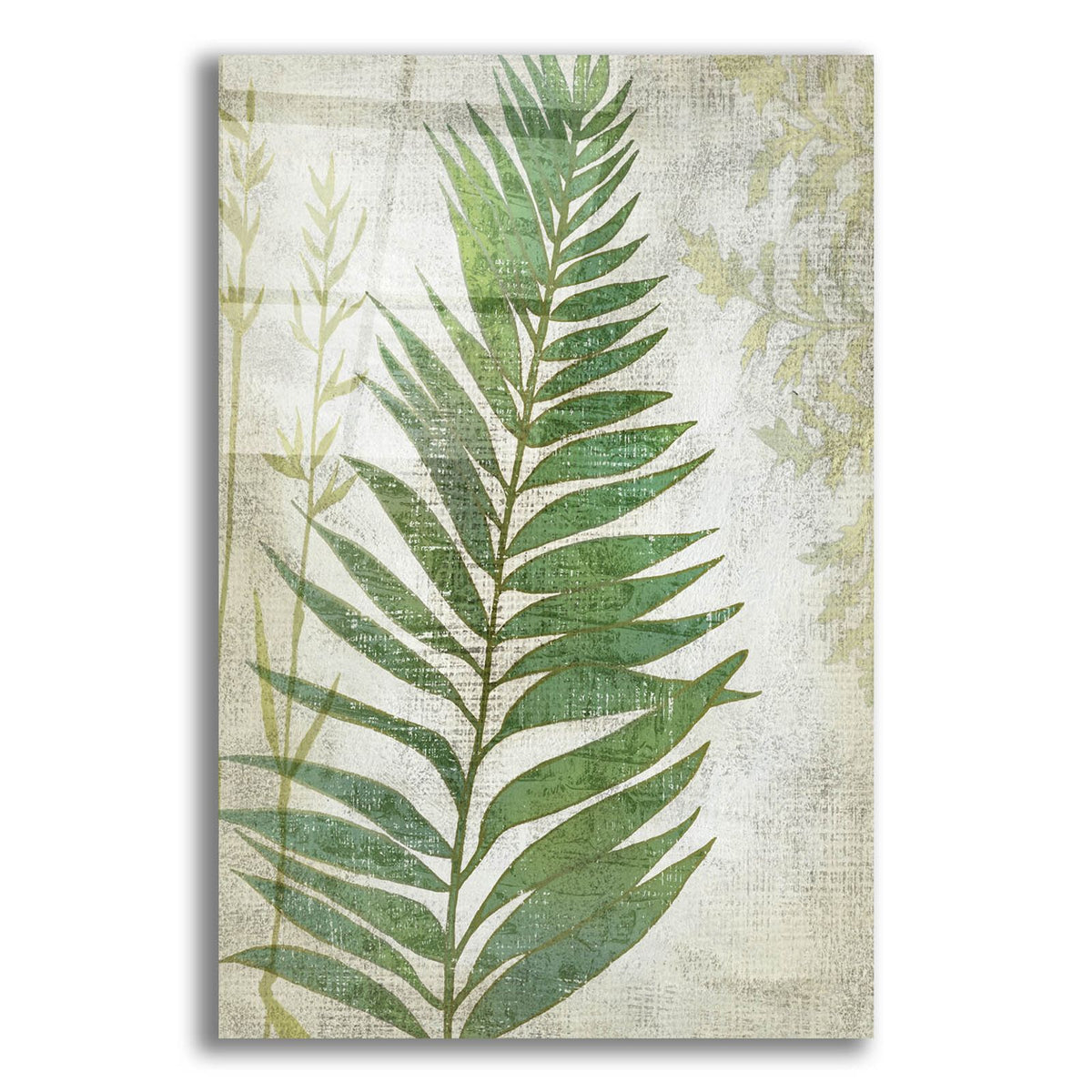 Frond 1 by Chariklia Zarris acrylic glass wall art