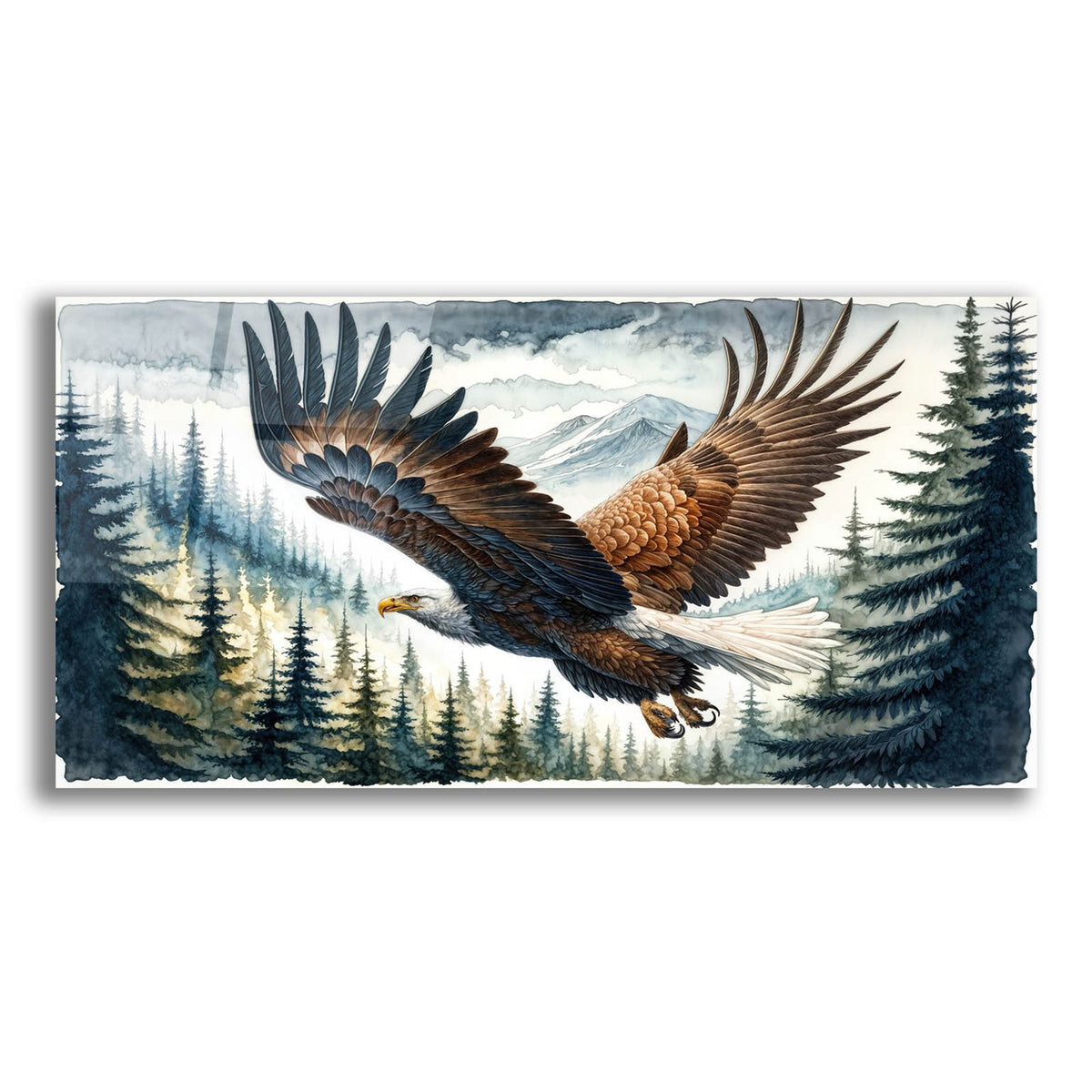 Soaring Bald Eagle 1 by Rey Klimt acrylic glass wall art