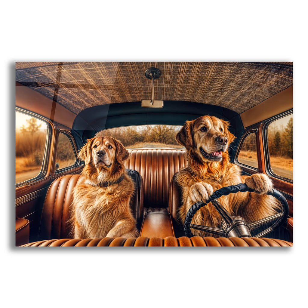 Two Golden Retriever Dogs In Vintage Car by Rey Klimt acrylic glass wall art
