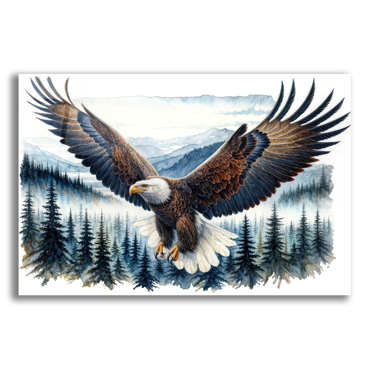 Soaring Bald Eagle 3 by Rey Klimt acrylic glass wall art