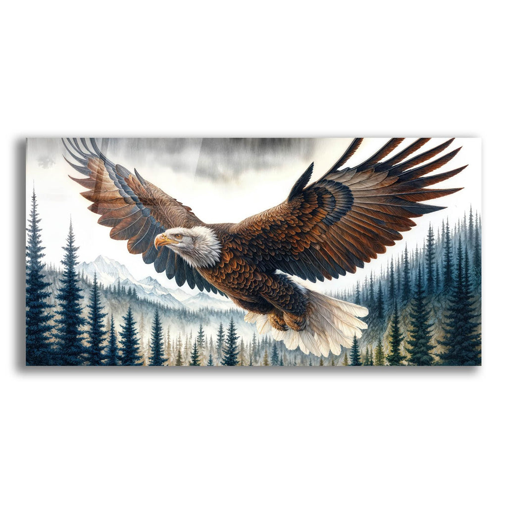 Soaring Bald Eagle 4 by Rey Klimt acrylic glass wall art