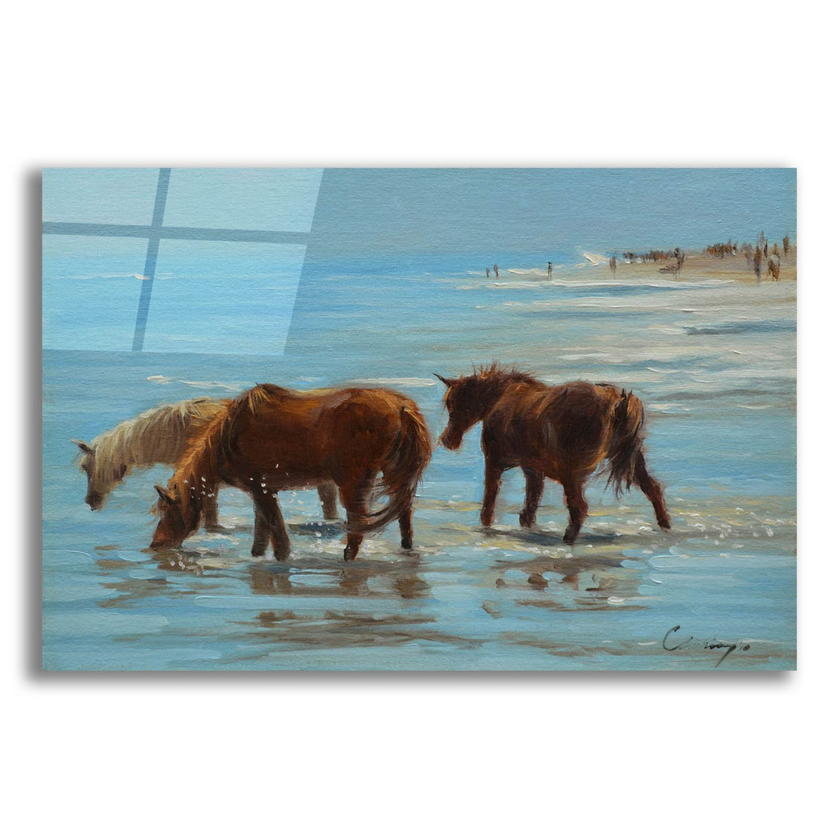 Chincoteague Ponies by Chuck Larivey acrylic glass wall art