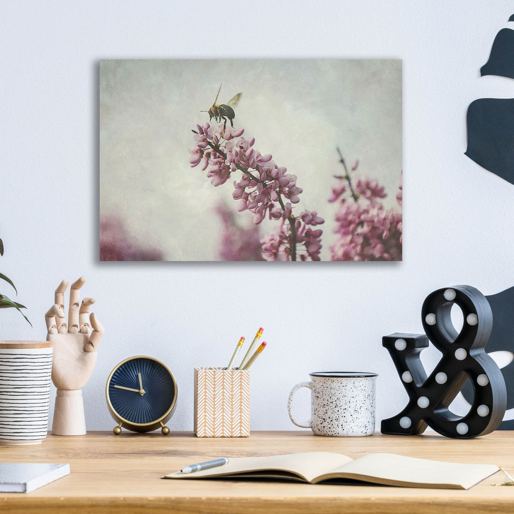 Flight Of The Bumblebee by Carrie Ann Grippo-Pike - 16x12 acrylic wall art in a room