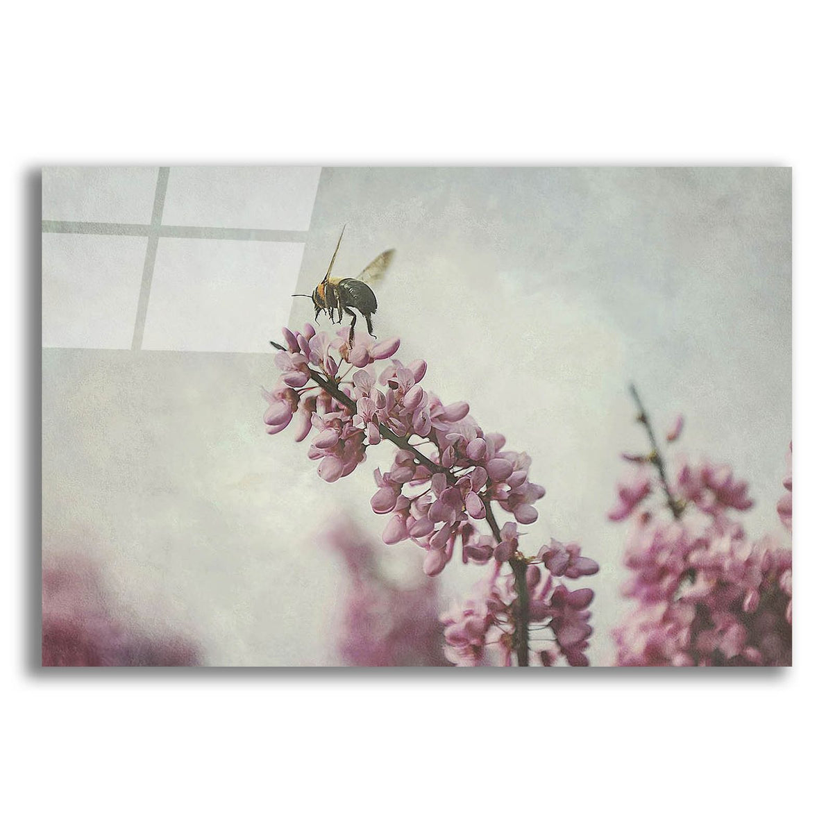 Flight Of The Bumblebee by Carrie Ann Grippo-Pike acrylic glass wall art