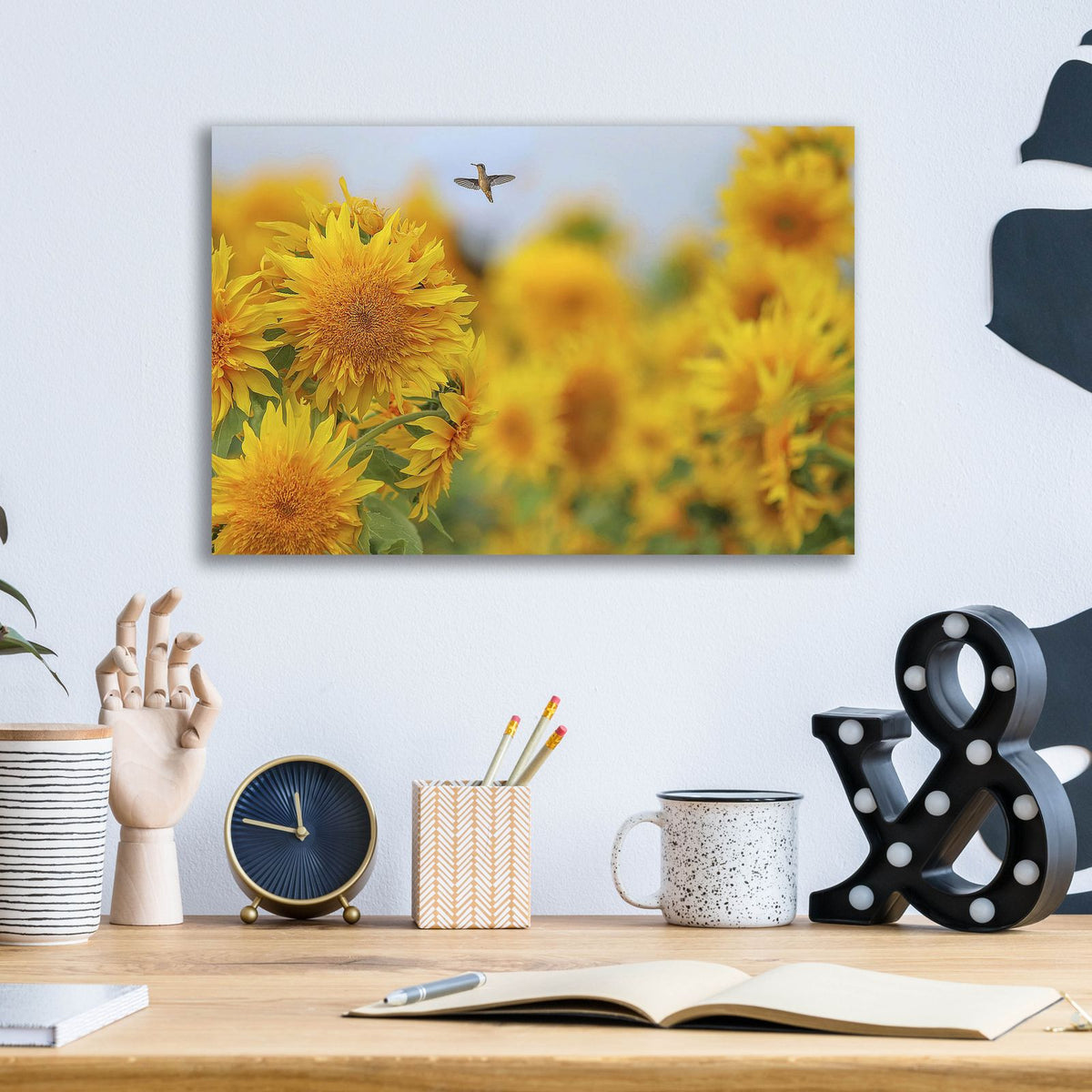Happy Hummingbird And Sunflowers by Carrie Ann Grippo-Pike - 16x12 acrylic wall art in a room