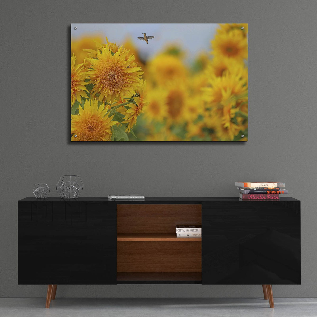 Happy Hummingbird And Sunflowers by Carrie Ann Grippo-Pike - 36x24 acrylic wall art in a room
