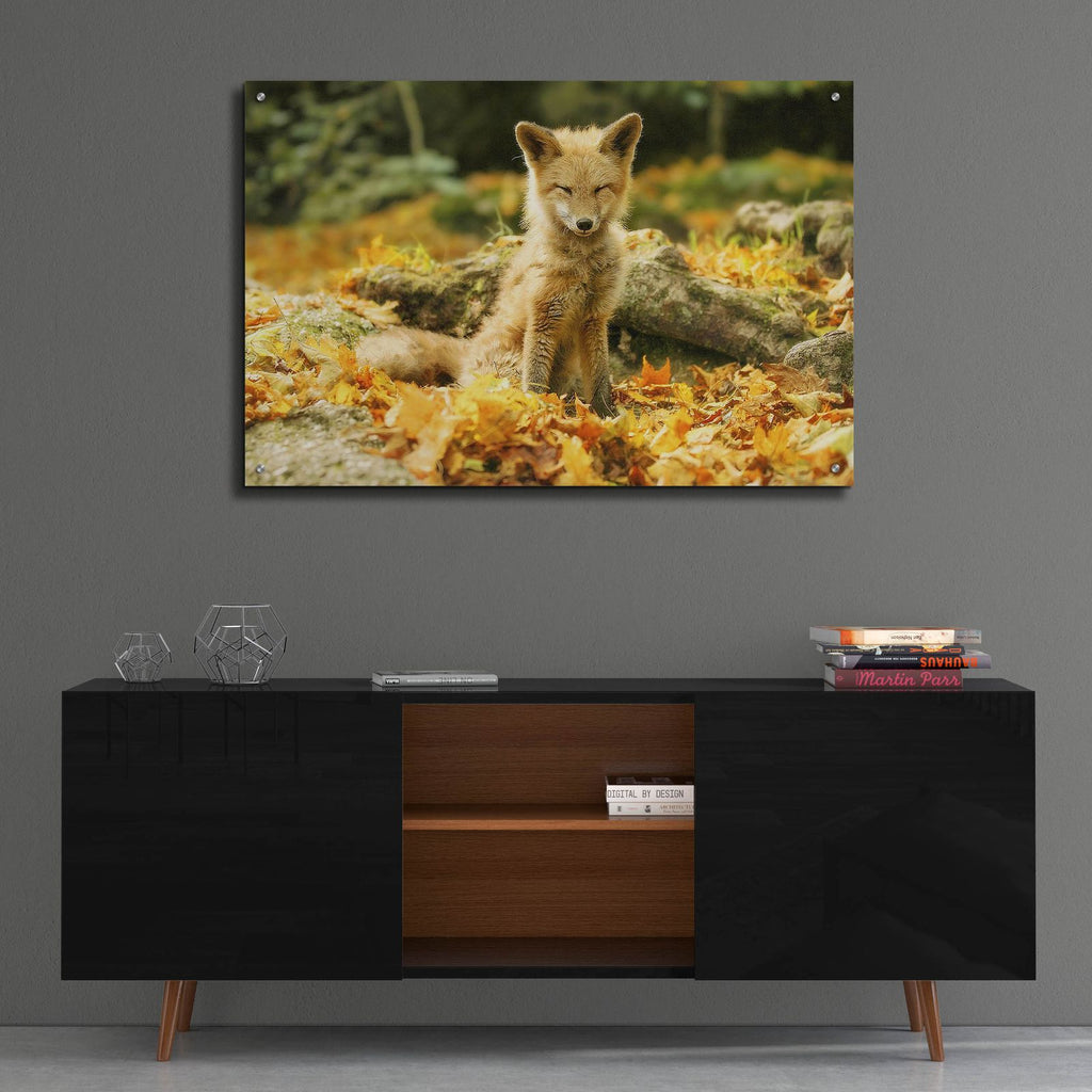 Sleepy Fall Fox by Carrie Ann Grippo-Pike - 36x24 acrylic wall art in a room