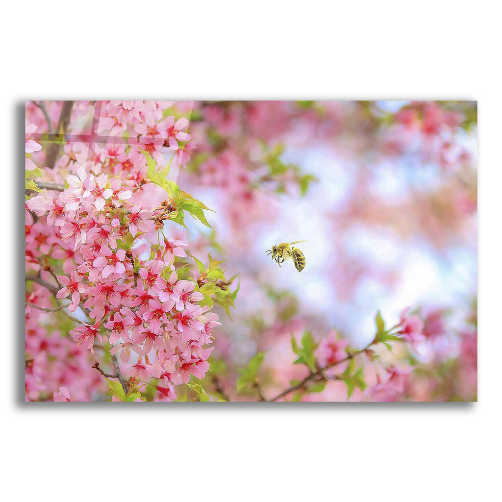 Whimsical Bee & Cherry Tree by Carrie Ann Grippo-Pike acrylic glass wall art