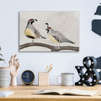 Quail Pair by Cat Thurman Designs - 16x12 acrylic wall art in a room