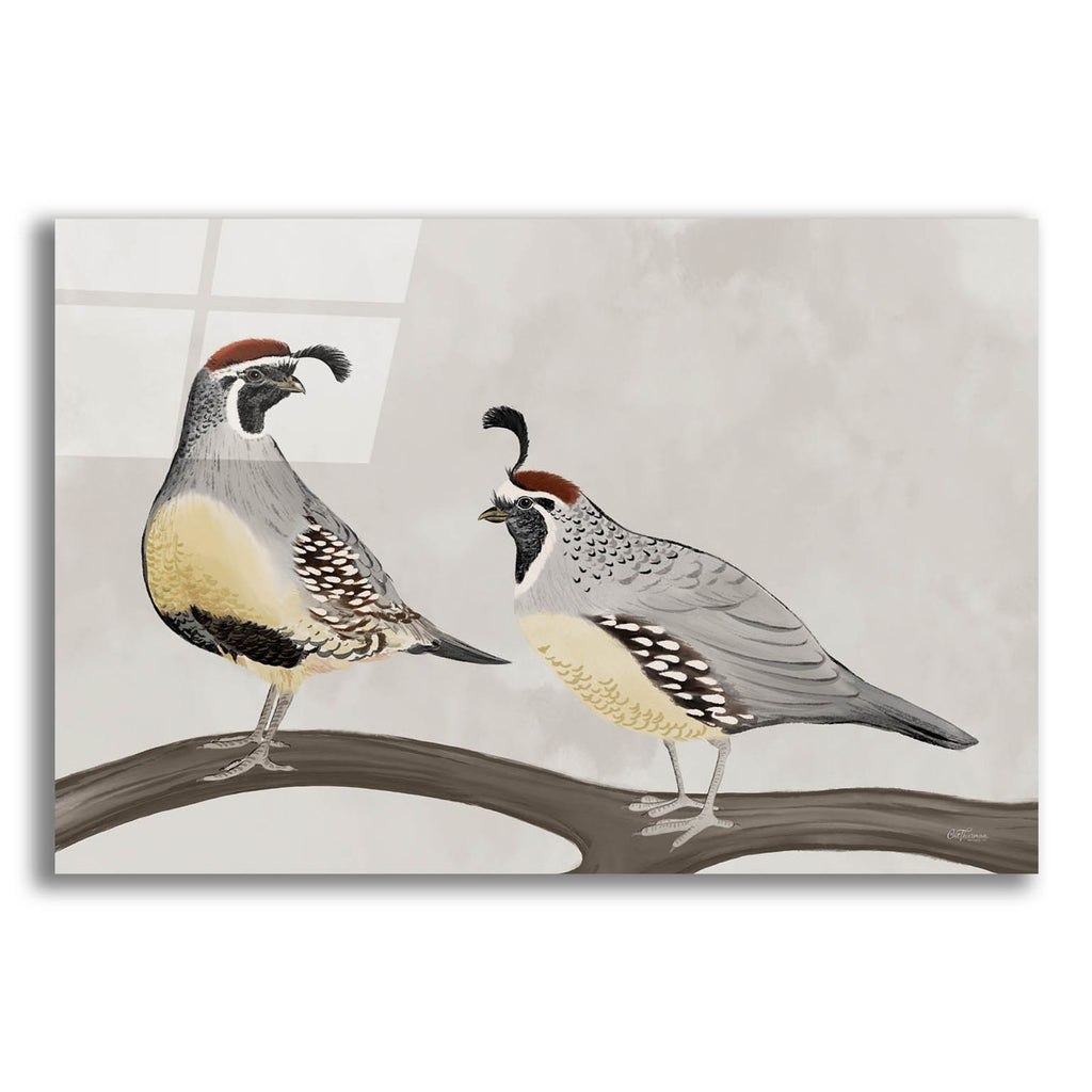Quail Pair by Cat Thurman Designs acrylic glass wall art