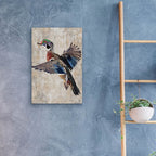 Wood Duck by Cat Thurman Designs - 16x24 acrylic wall art in a room