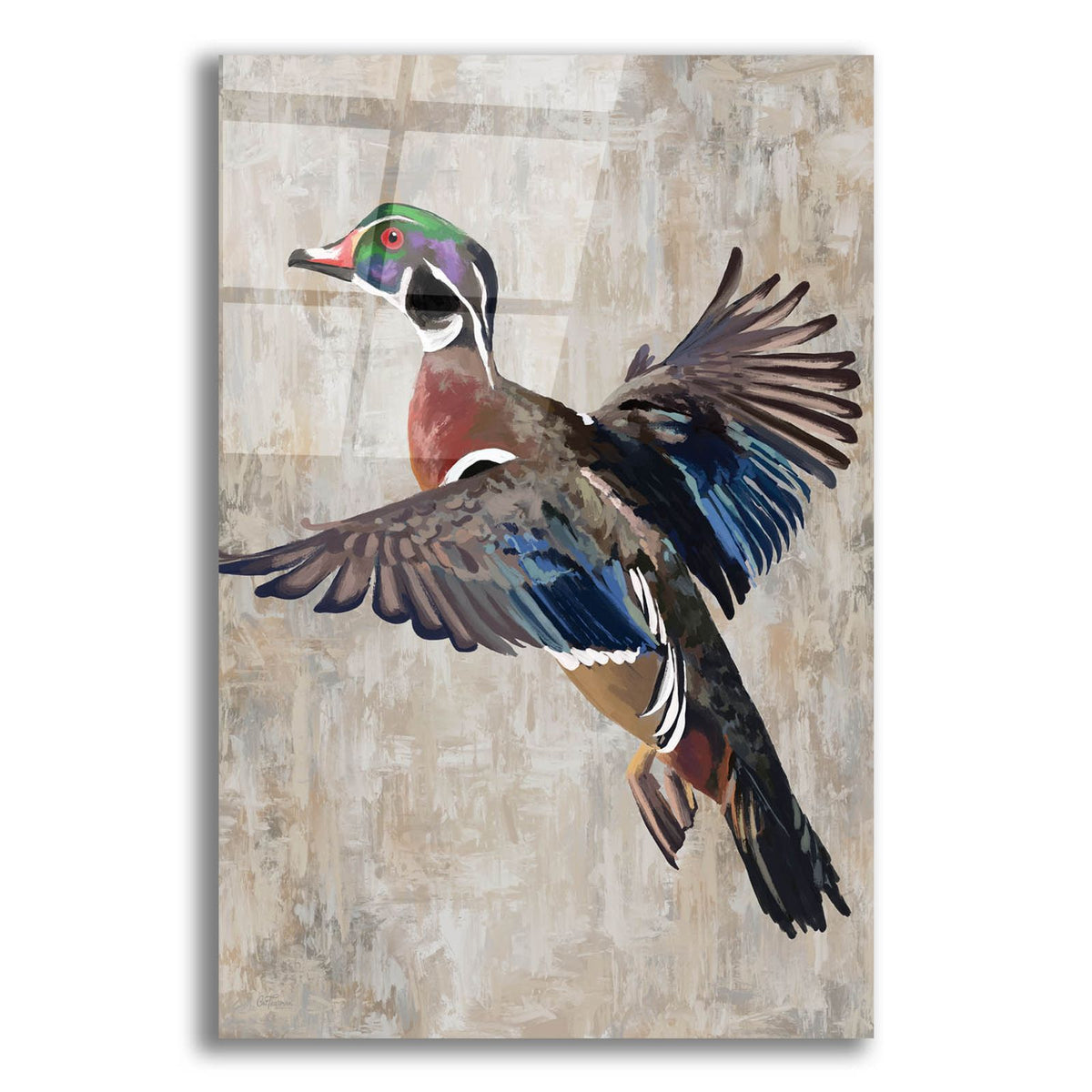 Wood Duck by Cat Thurman Designs acrylic glass wall art