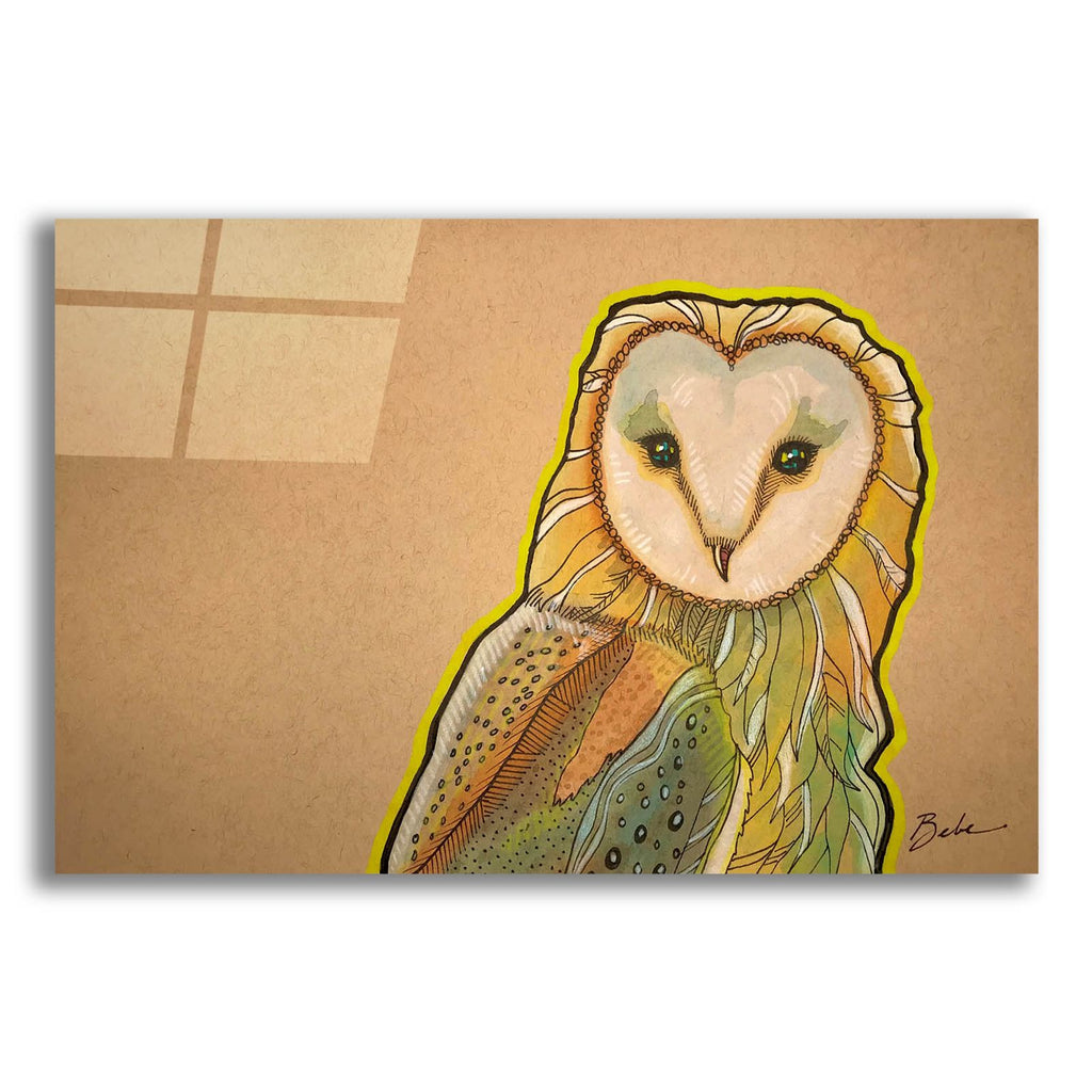 Barn Owl Look by Bebe Keith acrylic glass wall art