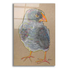 Gray Bird by Bebe Keith acrylic glass wall art