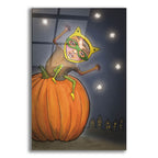 Great Pumpkin Fun by Bebe Keith acrylic glass wall art