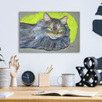 Nice Cat by Bebe Keith - 16x12 acrylic wall art in a room