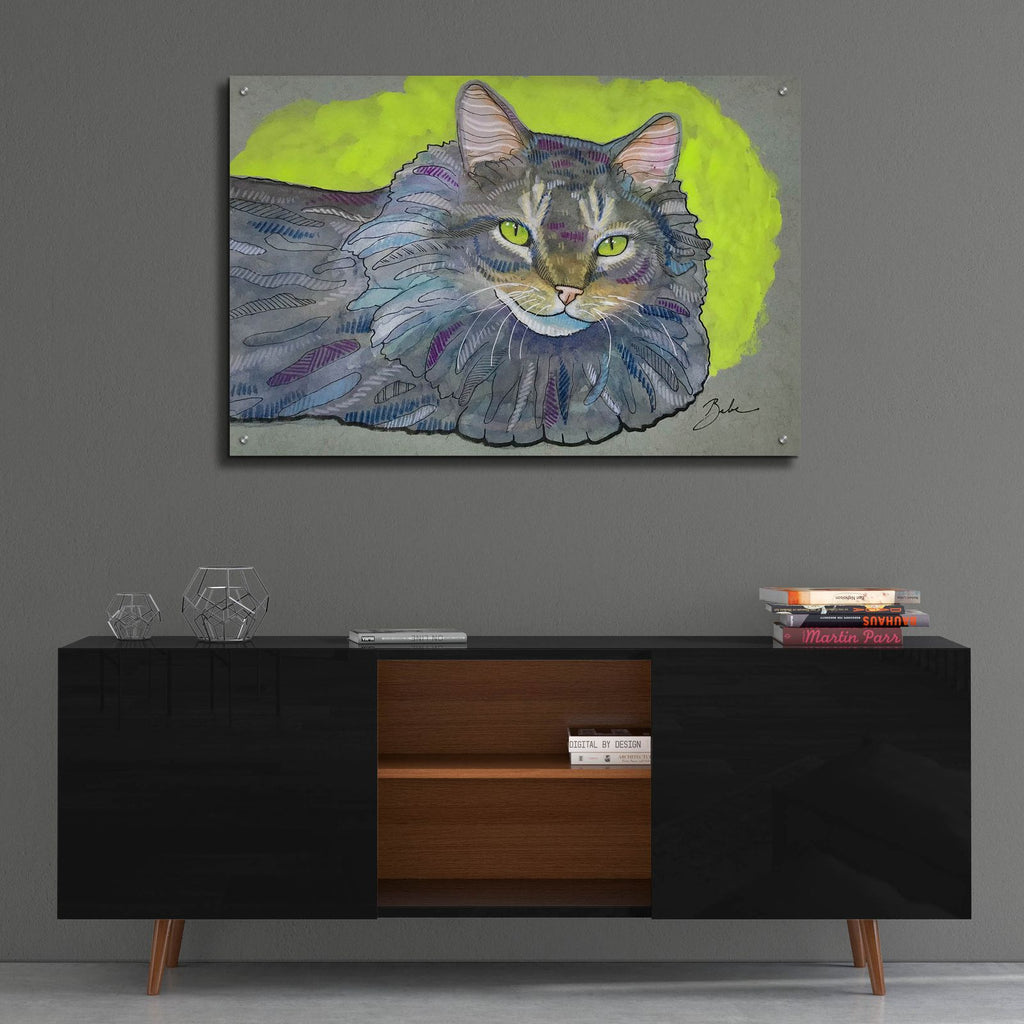 Nice Cat by Bebe Keith - 36x24 acrylic wall art in a room