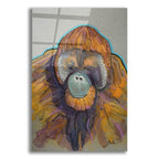 Orangutan by Bebe Keith acrylic glass wall art