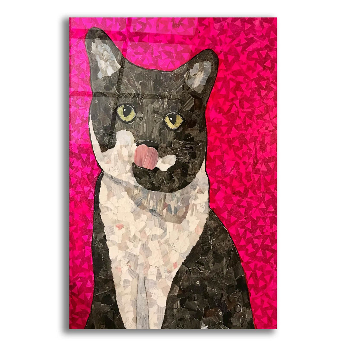 Pink Tuxedo by Bebe Keith acrylic glass wall art