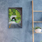 Blue Ridge Loop by Campbell Frost - 16x24 acrylic wall art in a room