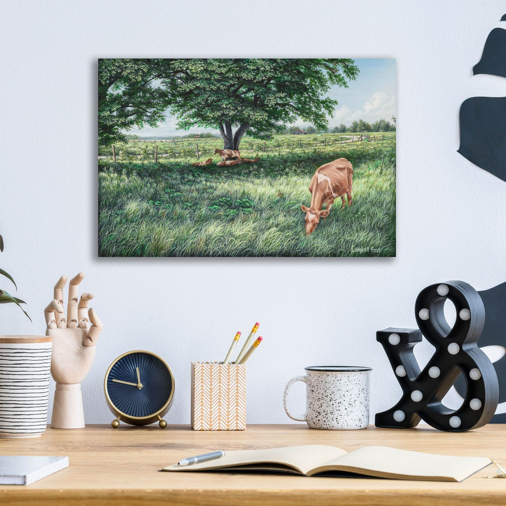 Grazing by Campbell Frost - 16x12 acrylic wall art in a room