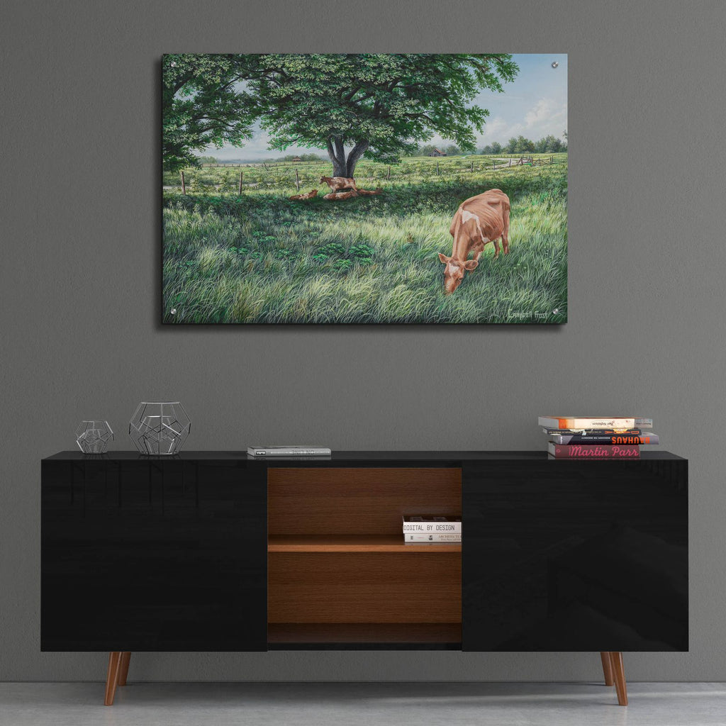 Grazing by Campbell Frost - 36x24 acrylic wall art in a room