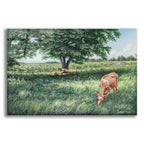 Grazing by Campbell Frost acrylic glass wall art
