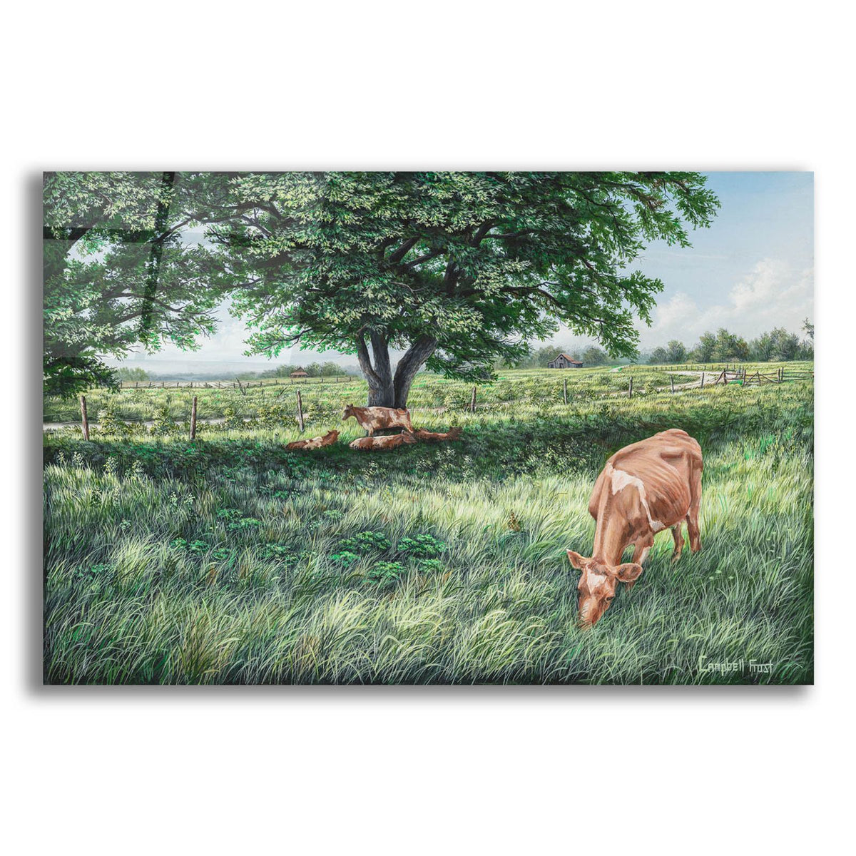 Grazing by Campbell Frost acrylic glass wall art