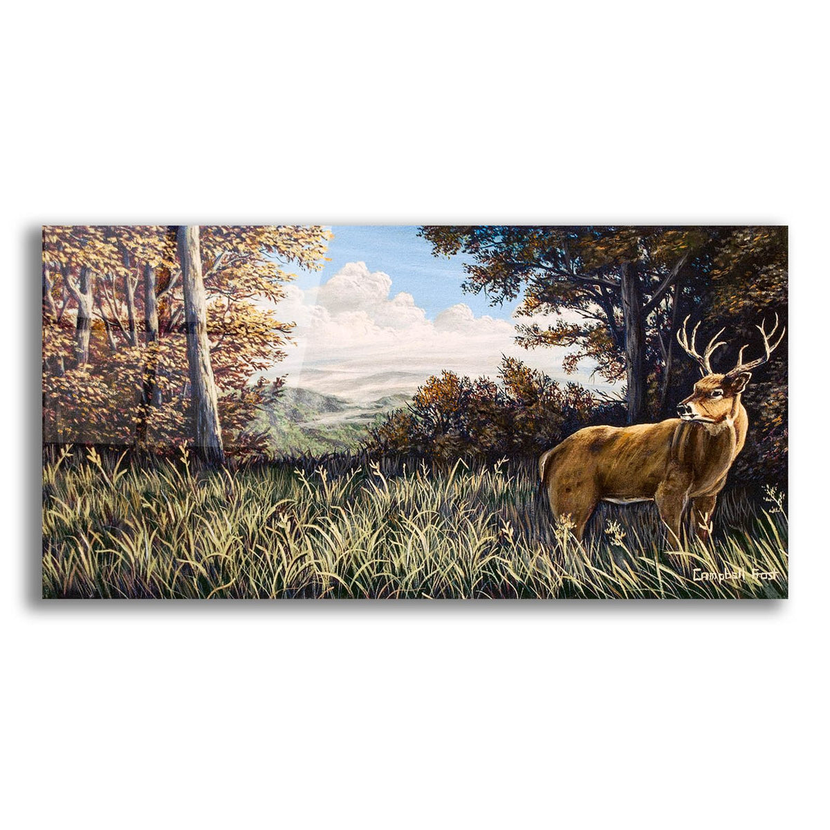 King Of The Blue Ridge by Campbell Frost acrylic glass wall art