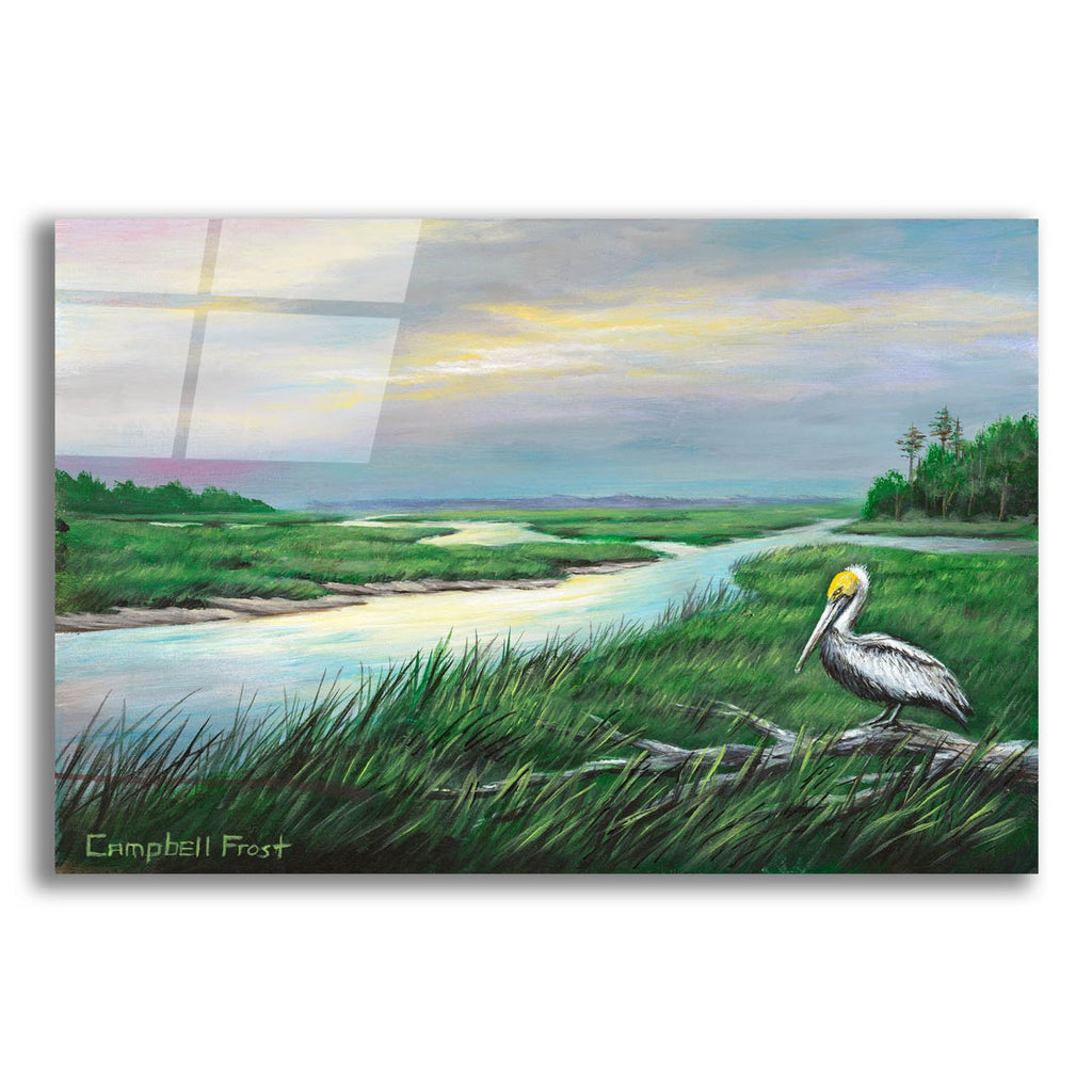 Low Country Heron by Campbell Frost acrylic glass wall art