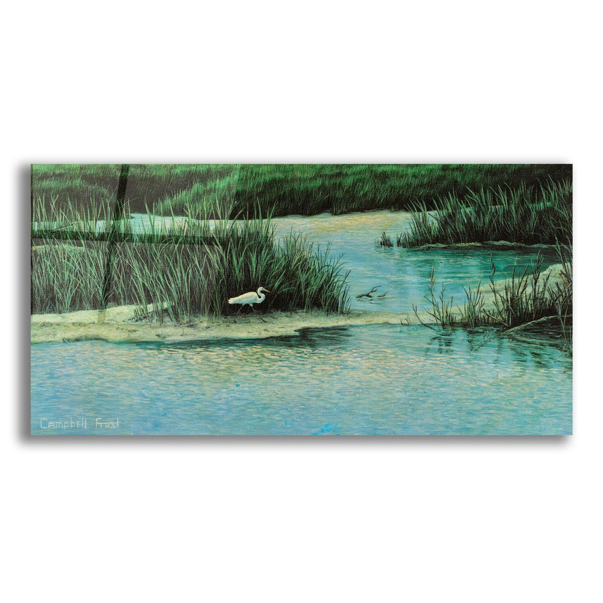 Marsh Life by Campbell Frost acrylic glass wall art