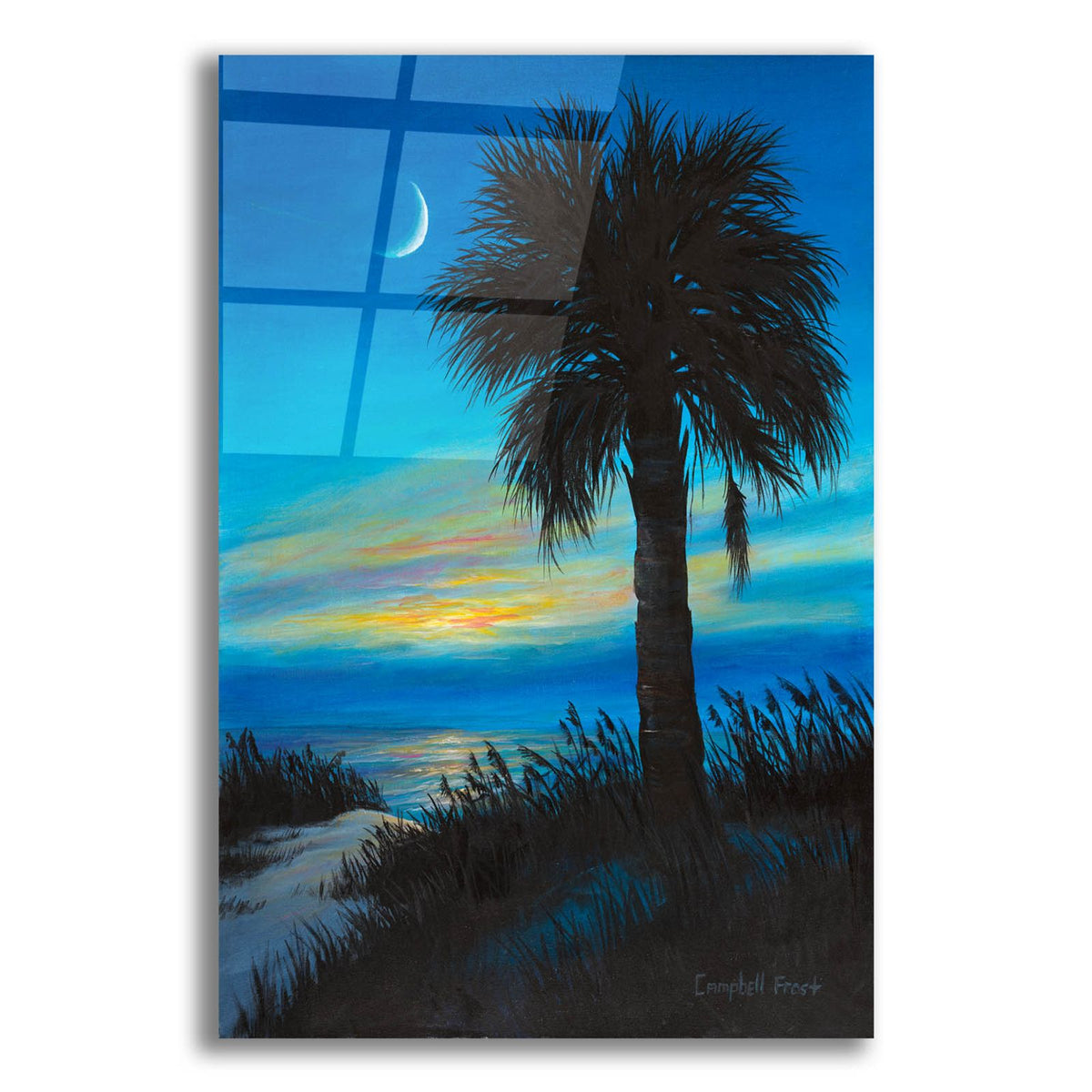 Palmetto Dusk by Campbell Frost acrylic glass wall art