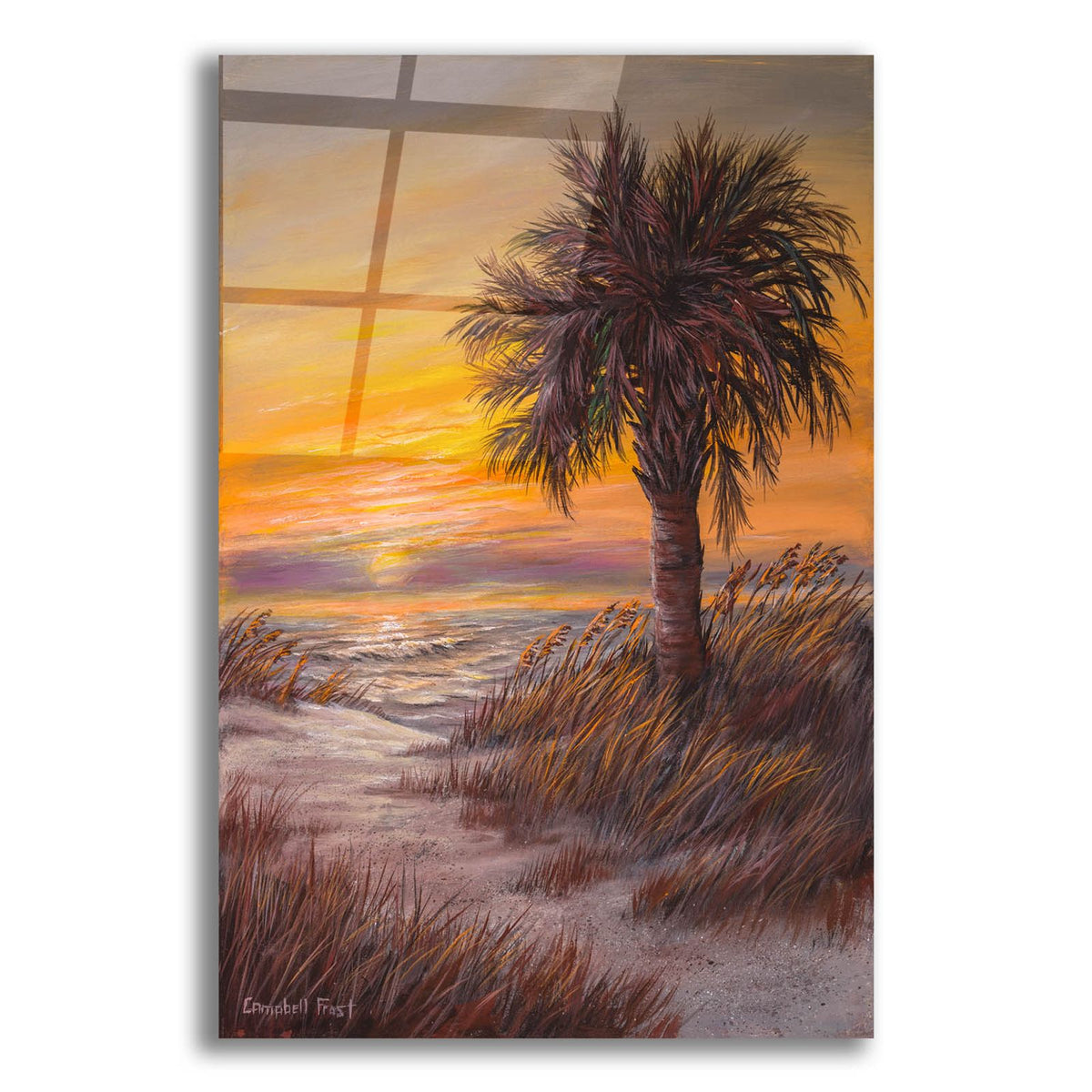 Palmetto Sunrise by Campbell Frost acrylic glass wall art