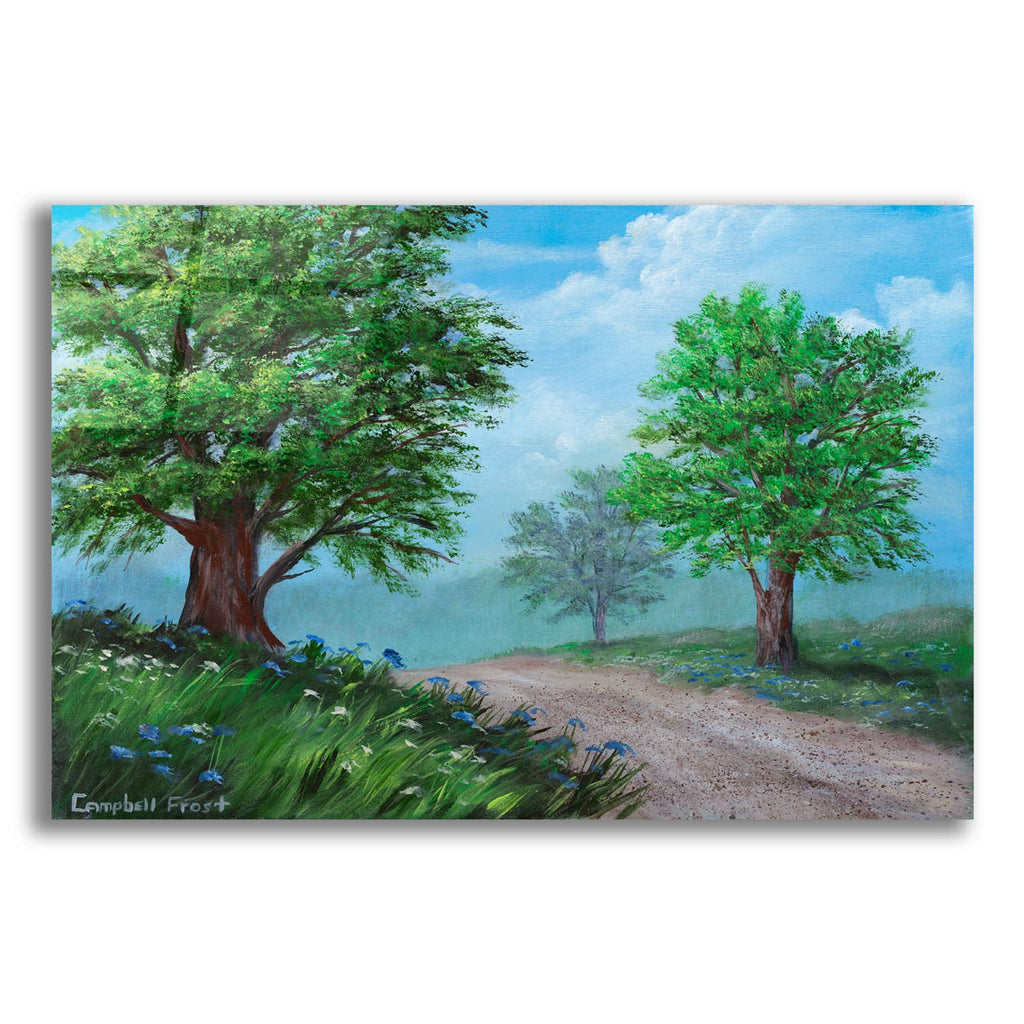 Spring Country Road by Campbell Frost acrylic glass wall art
