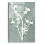 Field Notes 2 by Bronwyn Baker acrylic glass wall art
