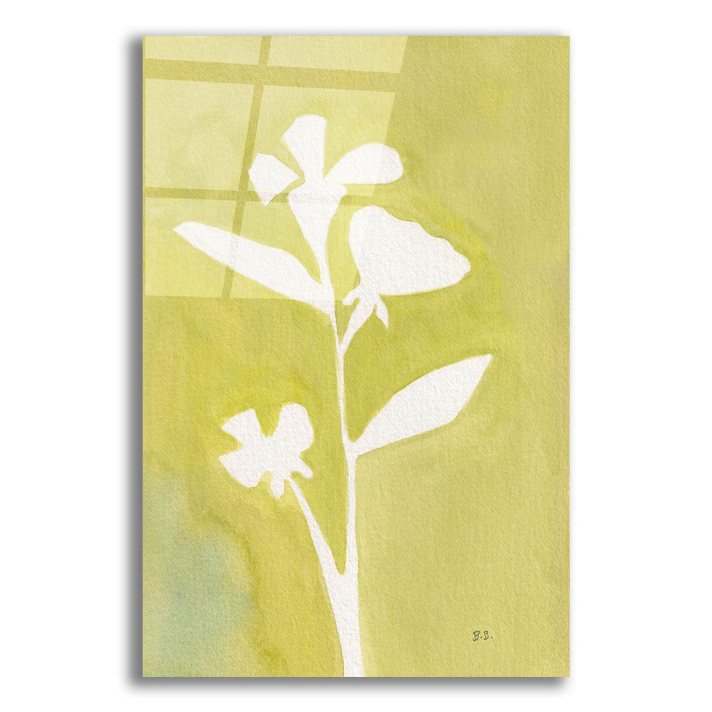 Field Notes 3 by Bronwyn Baker acrylic glass wall art