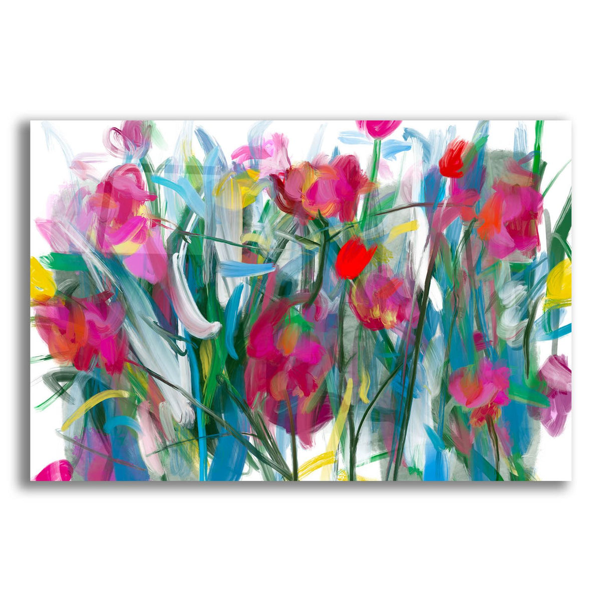 Blooming Roses by Cesare Bellassai acrylic glass wall art
