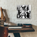 Bulldog On Toilet B&w by Rey Klimt - 12x12 acrylic wall art in a room