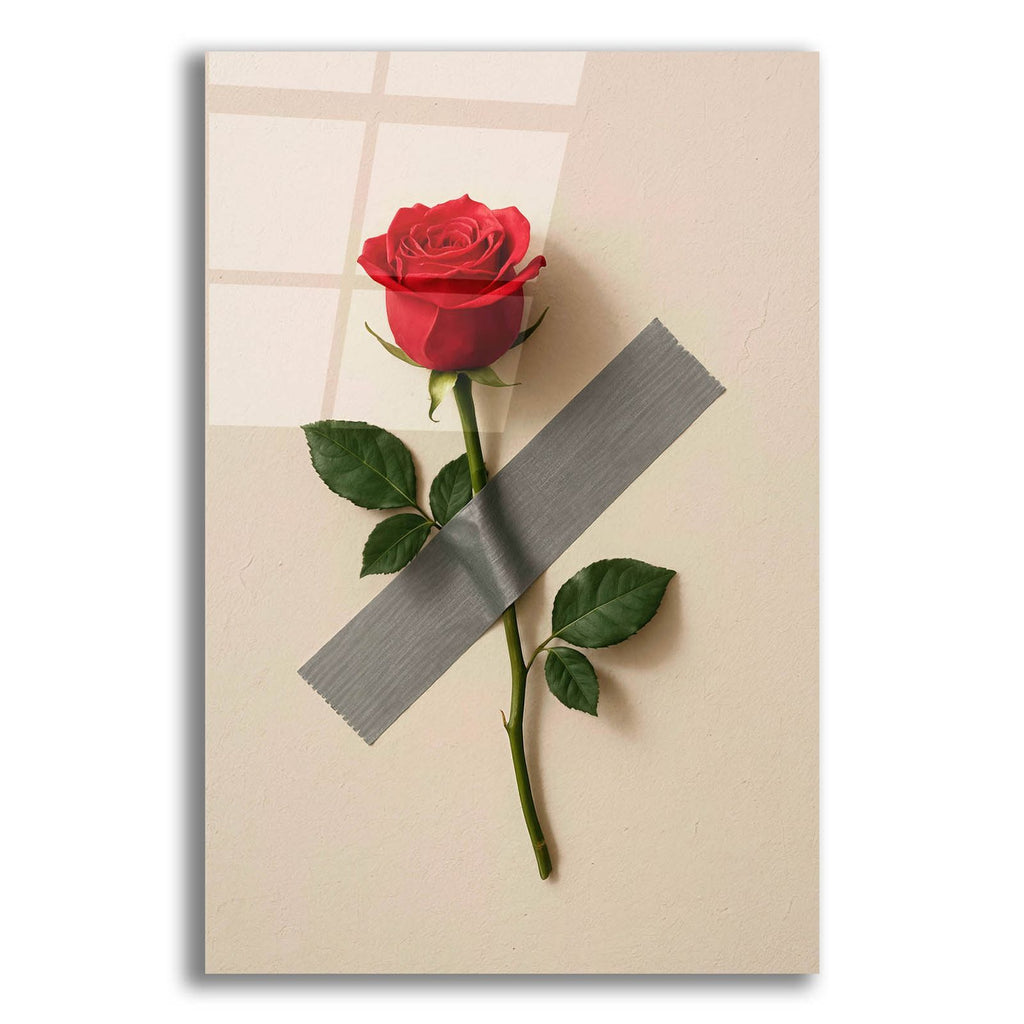 Rose On The Wall by Rey Klimt acrylic glass wall art