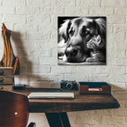Cat And Dog B&w by Rey Klimt - 12x12 acrylic wall art in a room