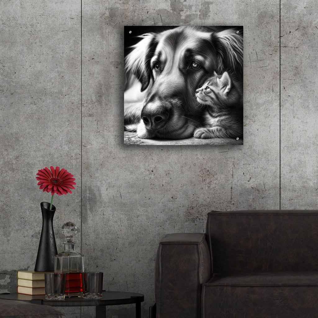 Cat And Dog B&w by Rey Klimt - 24x24 acrylic wall art in a room