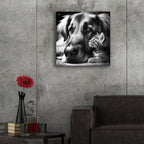 Cat And Dog B&w by Rey Klimt - 24x24 acrylic wall art in a room